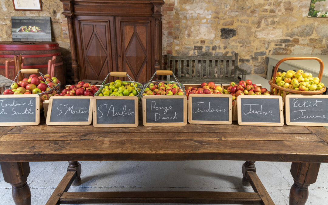 Testez vos connaissances sur les Pommiers, les Pommes et les Calvados